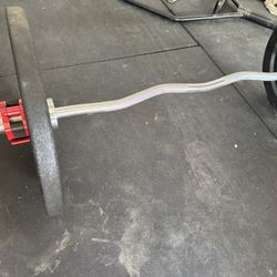 Curl Bar