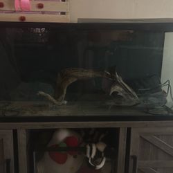 75 Gallon Fish tank 