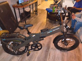Adult electric bike