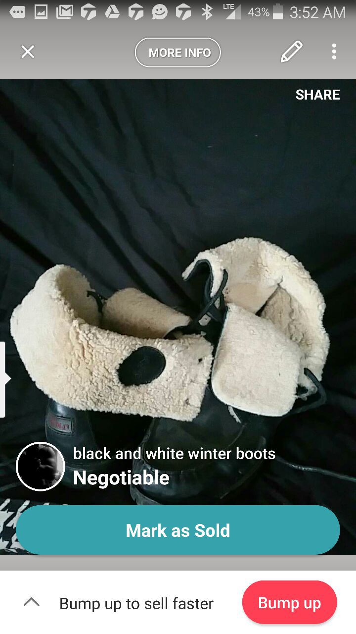 Polo boots