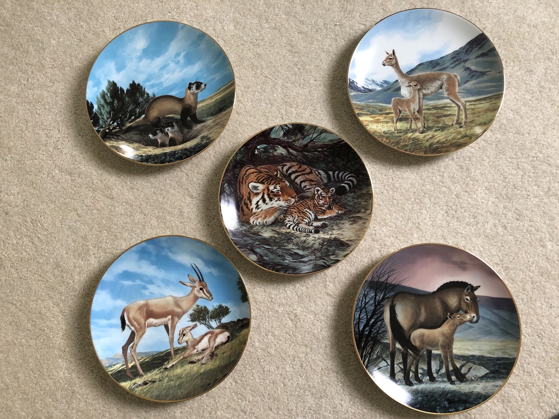 Decorative plates(10)