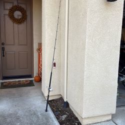 Phenix Black Diamond Rod And Reel