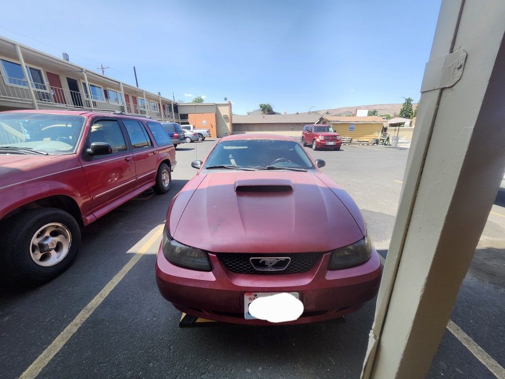 2003 Ford Mustang
