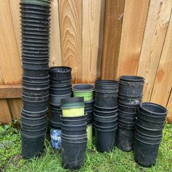 One Gallon Plastic Nursing Pots
