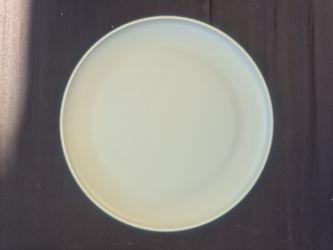 Light Gray Large Plastic Plates, Qty 24