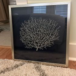 Set Of 2 Framed Coral Decor 