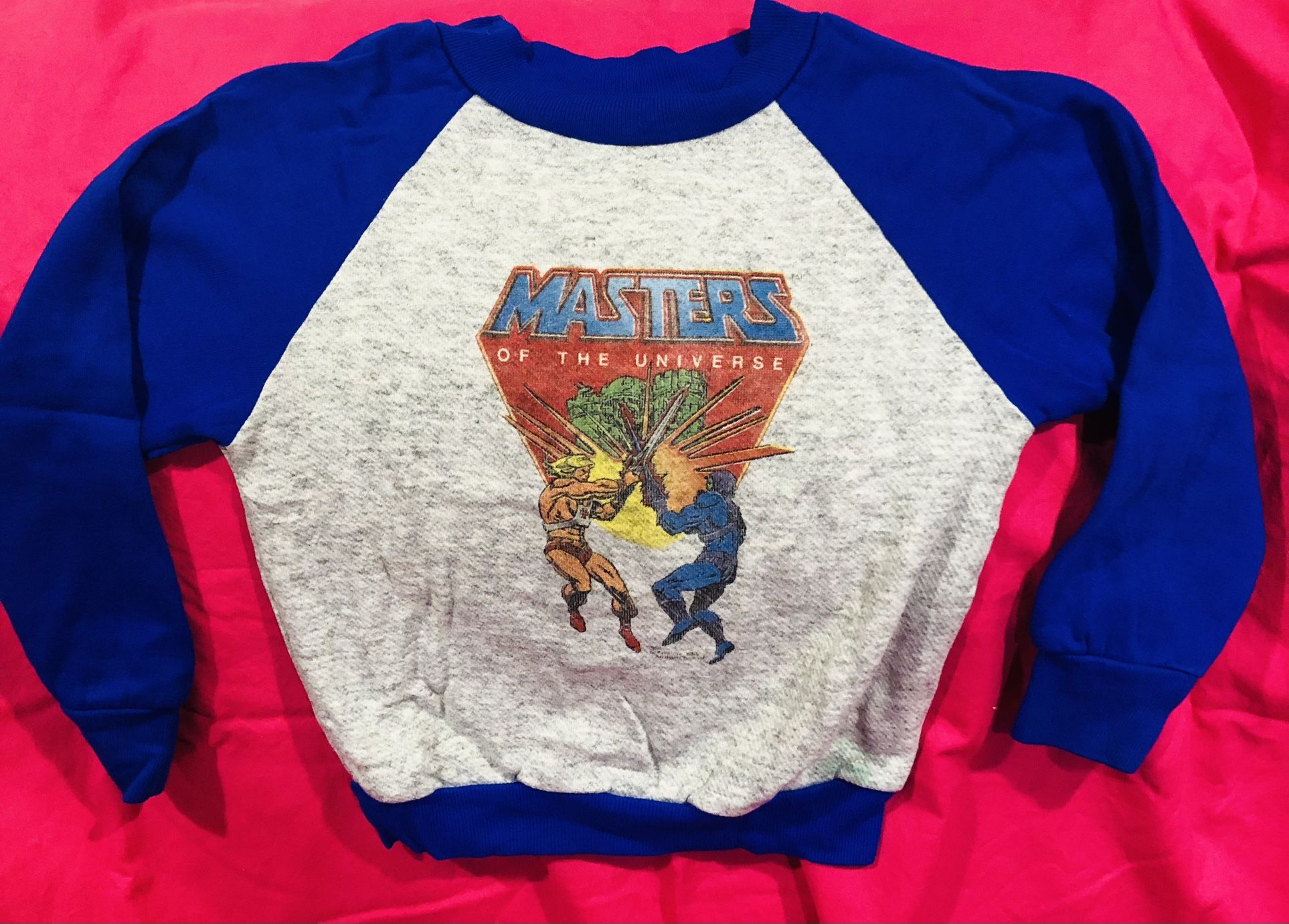 MASTERS OF THE UNIVERSE SWEATSHIRTS 