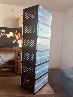 Shoe case