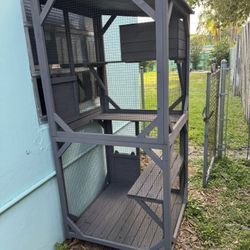 Catio For Multiple Cats