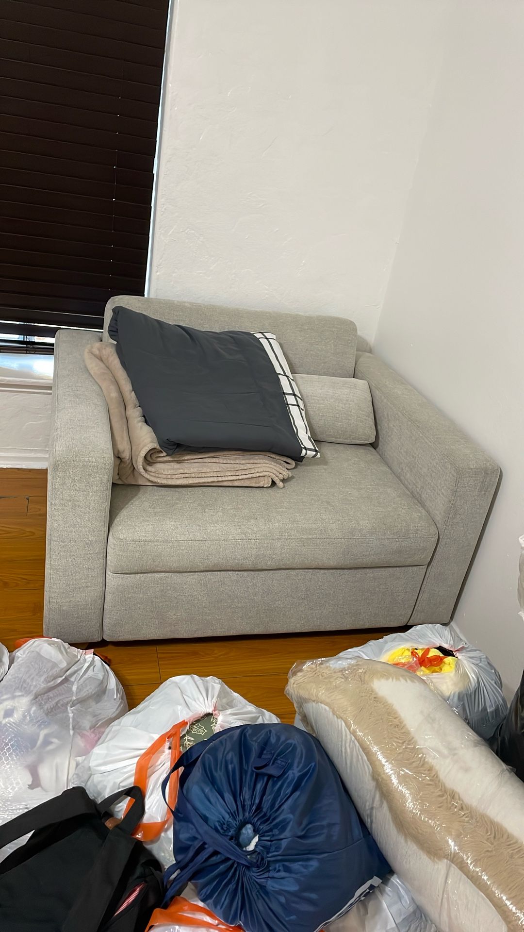 Love Seat Sofa Bed