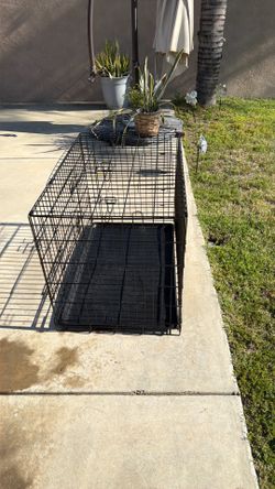 Doggy cage
