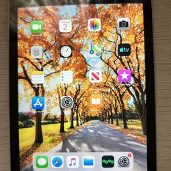 iPad Air 12.5.7 16 GB