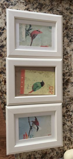 Set of 3 Framed Bird Art Prints
