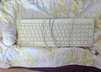 HP KEYBOARD and MOUSE (Wired)
