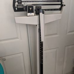 Professional scale