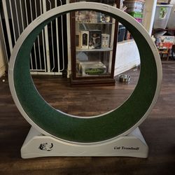 Cat Treadmill