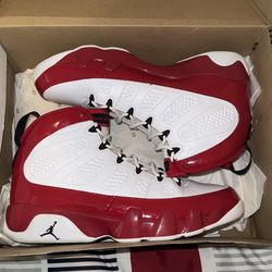 Air Jordan Gym Red 9