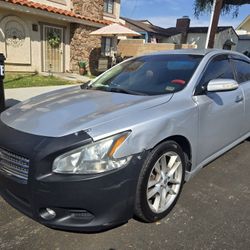2010 Nissan Maxima Lets Talk