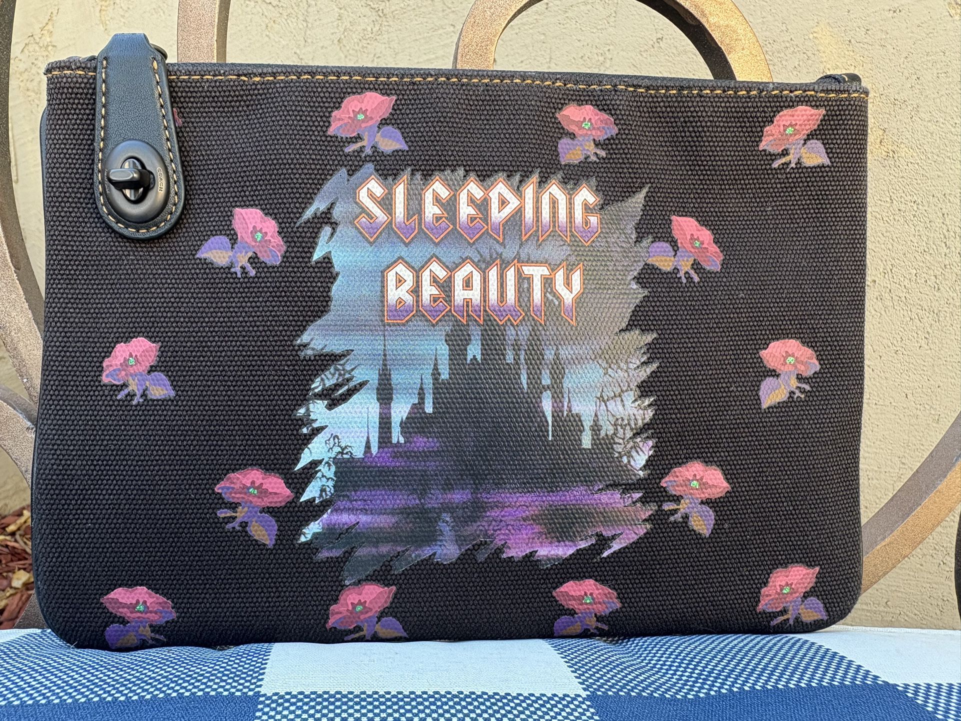 Coach Disney X Sleeping Beauty turnlock Pouch 26