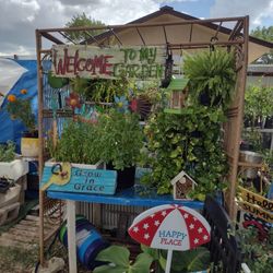 Tons Of Plants And Trees