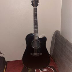 takamine g series