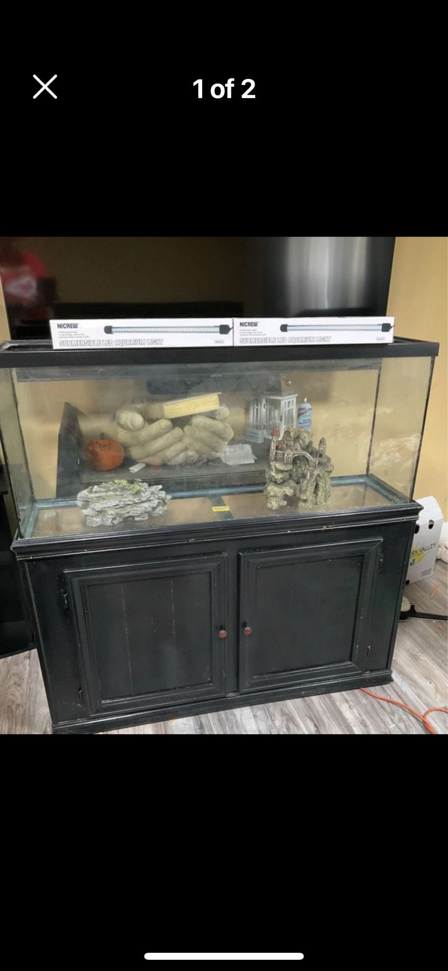 55 Gallon Fish Tank Set Up 