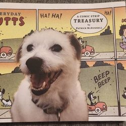 Comic Books / Cartoons