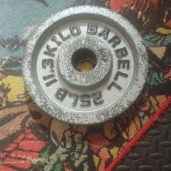 Weightlifting Plates 