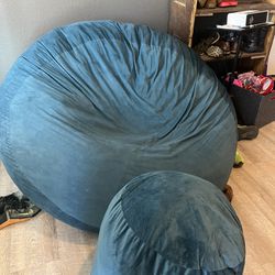 Two Person Lovesac 