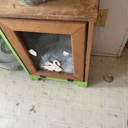 Potato Crate 