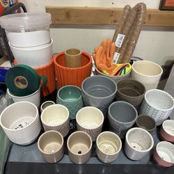 Beginning House Plants Kit