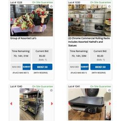 Business Closing Auction - Shelving, Fridges, Freezers, Fixtures, and More