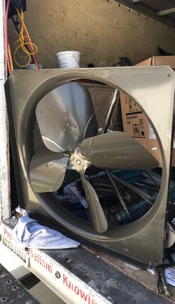 Fan