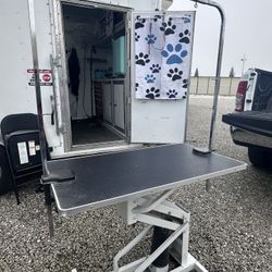 Dog Grooming Table 