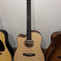 Left Handed Guitar (Donner Acoustic Guitar)