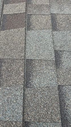 Shingles