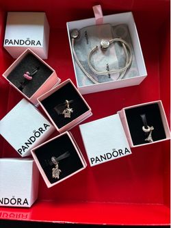 Pandora Charms & Bracelets