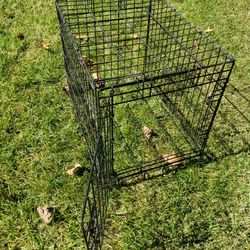 Dog Crate