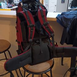 Kelly Backpack With Frame Support 