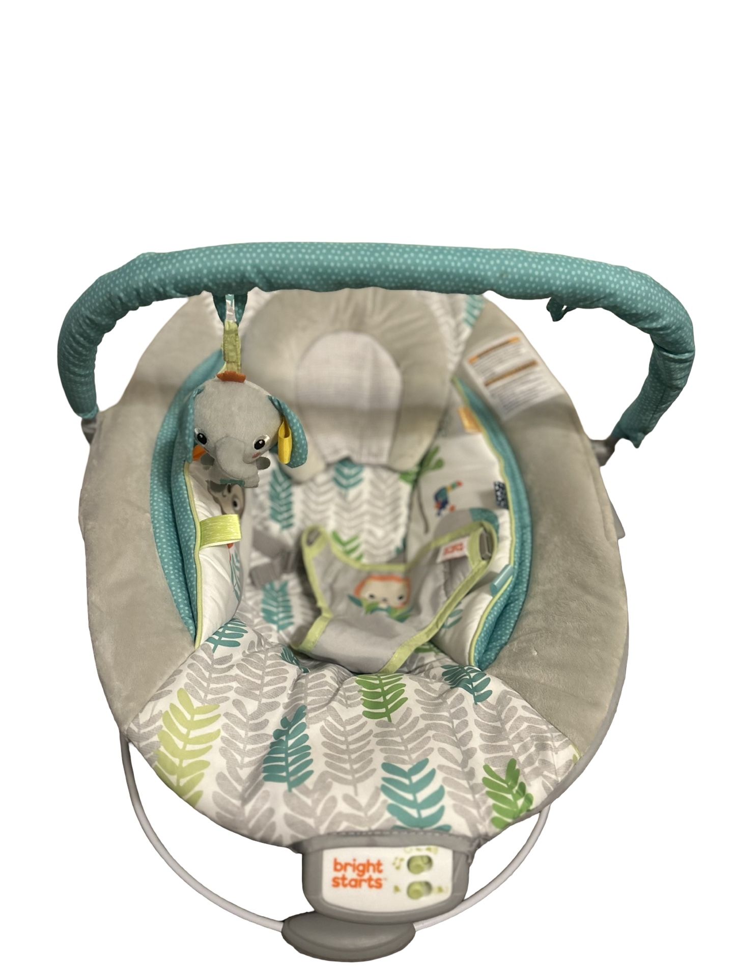 Baby Bouncer
