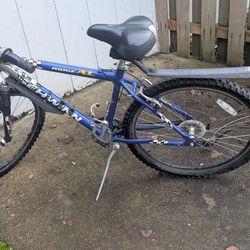 Schwinn Mountain Bike