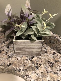 Silk planter