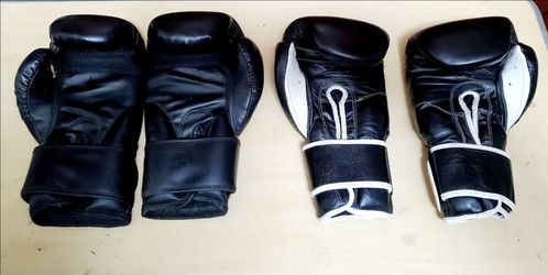 Venum 14 oz & Pro Boxing 16 oz Gloves + TriTech Leather Curved Focus Mitts – Boxing Training Set