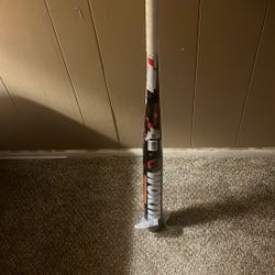 Softball bat