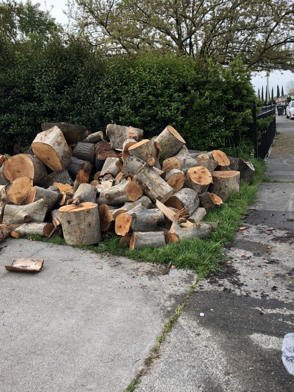 FREE FIREWOOD for Sale in Sacramento, CA - OfferUp