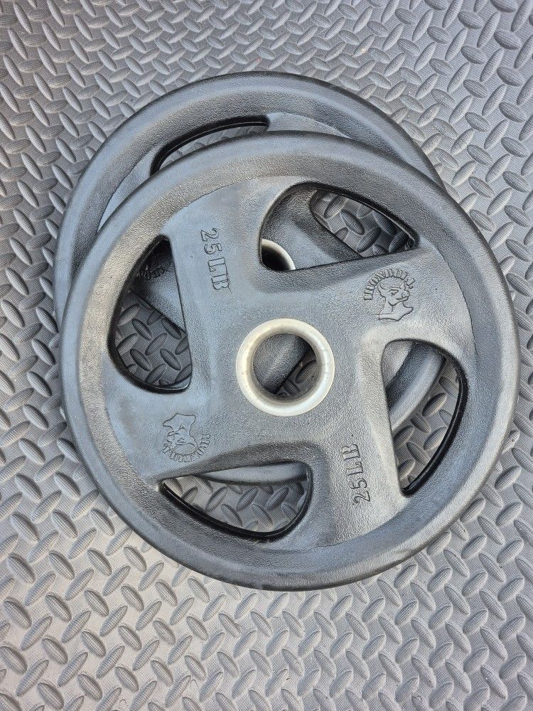 25LBS Rubber Weights