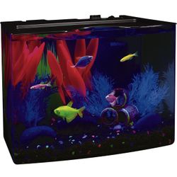 GloFish Crescent aquarium Kit 3 Gallons, Includes Hidden Blue LED Light And Internal Filter