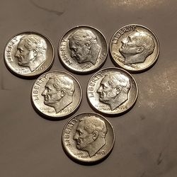 6 Silver Roosevelt Dunes. 90% Silver