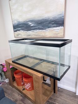 75 gallon glass aquarium / terrarium