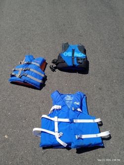 Life vest